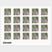 Sticker Carré Lapin de coton du Texas (Feuille)
