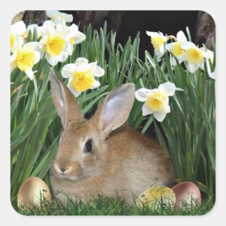Sticker Carré Lapin de Pâques