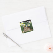 Sticker Carré Lapin de Pâques (Enveloppe)