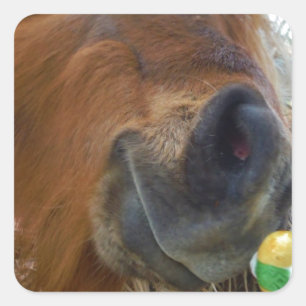 Sticker Carré Lapin de Pâques et cheval Brown