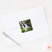 Sticker Carré Lapin noir et blanc, (Enveloppe)