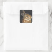 Sticker Carré Lapin sauvage Brown au soleil (Sac)