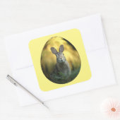 Sticker Carré Lapin Sur Oeuf (Enveloppe)