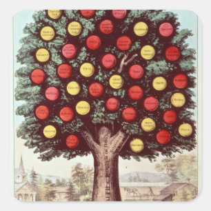Sticker Carré L'arbre de la modération, 1872
