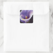 Sticker Carré Lavande Calla Lily (Sac)