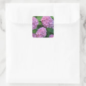 Sticker Carré Le buisson d'hortensia rose (Sac)