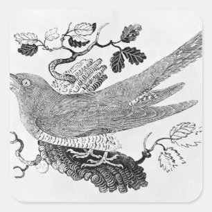 Sticker Carré Le cacao