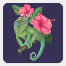 Le caméléon de Jackson avec Hibiscus