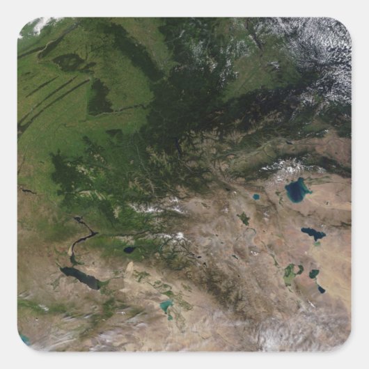 Sticker Carré Le changement de végétation (Devant)