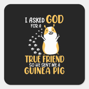 Sticker Carré Le Cochon De Guinée est un vrai ami