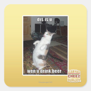 Sticker Carré le DIS est u