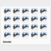 Sticker Carré Le faucon balbuzard attaquant un poisson surfacé. (Feuille)