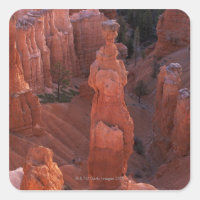 Le hoodoo Thor's Hammer sur Navajo Trail