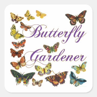 Sticker Carré Le jardinier papillon dit :