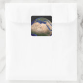 Sticker Carré Le marbre bleu Nouvelle génération Terre 3 (Sac)