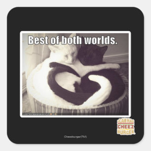 Sticker Carré Le meilleur des deux mondes.