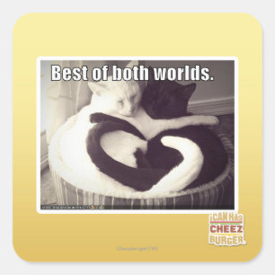 Sticker Carré Le meilleur des deux mondes.