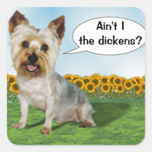 Sticker Carré Le mignon Yorkie Ain't I the Dickens ?