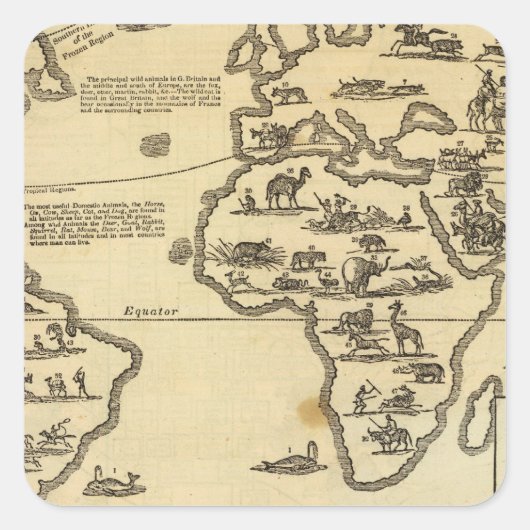 Sticker Carré Le monde des animaux (Devant)