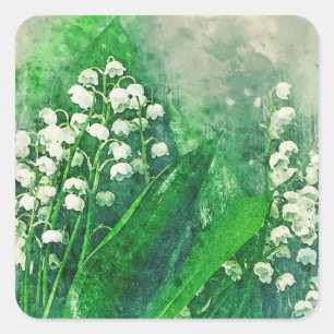 Sticker Carré Le muguet botanique pour aquarelle