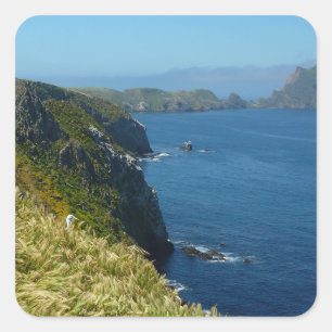Sticker Carré Le point d'inspiration d'Anacapa II aux Channel Is