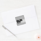 Sticker Carré Le puissant buffle (Enveloppe)