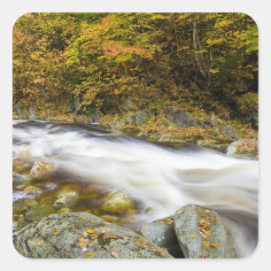 Sticker Carré Le ruisseau Roaring à l'automne dans le Vermont's 