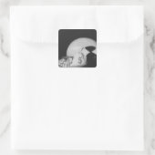 Sticker Carré Le sac d'argent (Sac)