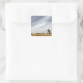 Sticker Carré Le sergent assure la sécurité (Sac)