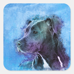 Sticker Carré Le Staffordshire Terrier américain - Amstaff