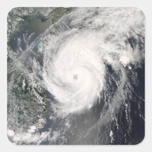 Sticker Carré Le typhon Neoguri approche la Chine 2 (Devant)