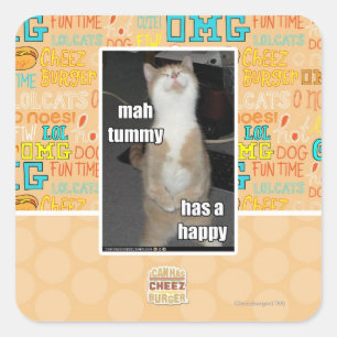 Sticker Carré Le ventre d'heure-milliampère a un heureux