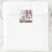 Sticker Carré L'écureuil vous regarde (Sac)