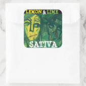 STICKER CARRÉ LEMON & LIME SATIVA (Sac)
