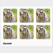 Sticker Carré Lemur de bébé (Feuille)
