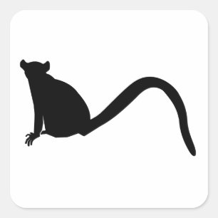 Sticker Carré Lemur Silhouette