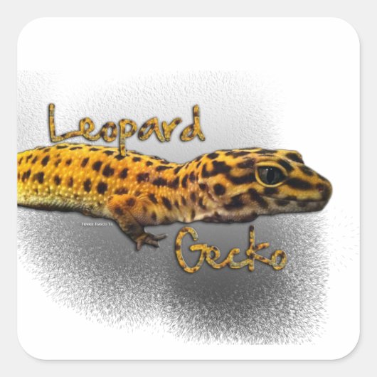 Sticker Carré Leopard Gecko (Devant)