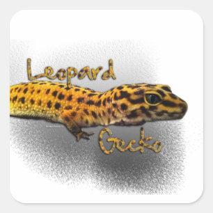 Sticker Carré Leopard Gecko