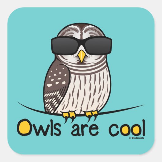 Sticker Carré Les chouettes sont cool (Devant)