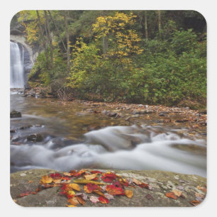Sticker Carré Les chutes de Looking Glass dans le Pisgah Nationa