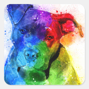 Sticker Carré Les couleurs de l'Amour sont un Pitbull