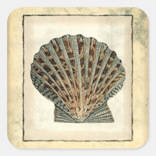 Sticker Carré Les Créatures marines au bord de l'eau (Devant)