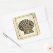 Sticker Carré Les Créatures marines au bord de l'eau (Enveloppe)