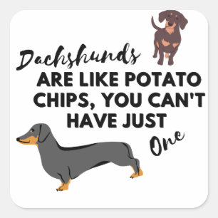 Sticker Carré Les Dachshunds Sont Comme Des Chips Vous Ne Pouvez