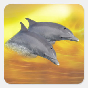Sticker Carré Les dauphins surfant sur les vagues
