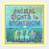 Sticker Carré Les droits des animaux ont raison|Stickers Now (Devant)
