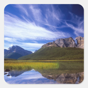 Sticker Carré Les eaux calmes du lac Waterfowl font un