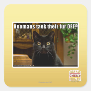 Sticker Carré Les femmes de chambre s'en vont-elles ?