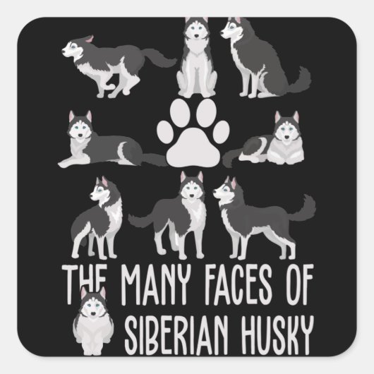 Sticker Carré Les multiples visages du Husky Sibérien pour l'Amo (Devant)