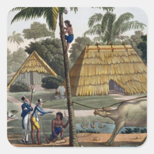 Sticker Carré Les naturalistes interrogent les natifs près de Ku